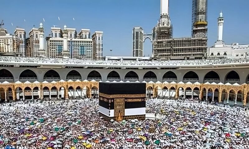 الحج بدون قرعة.. 5 آلاف تأشيرة مباشرة وأسعار البرامج تتجاوز المليون جنيه