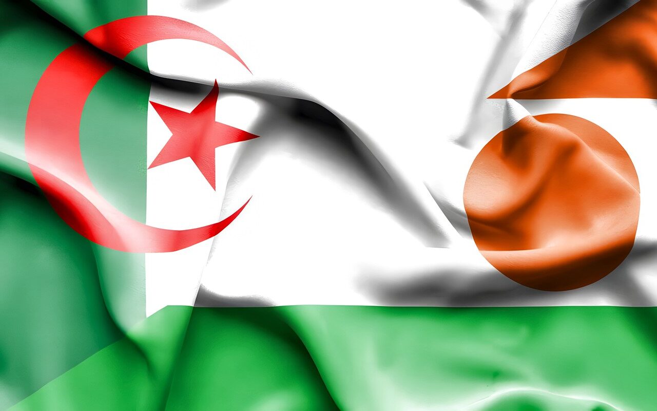 الجزائر.. تبون يقر إرسال وحدات من الجيش إلى النيجر