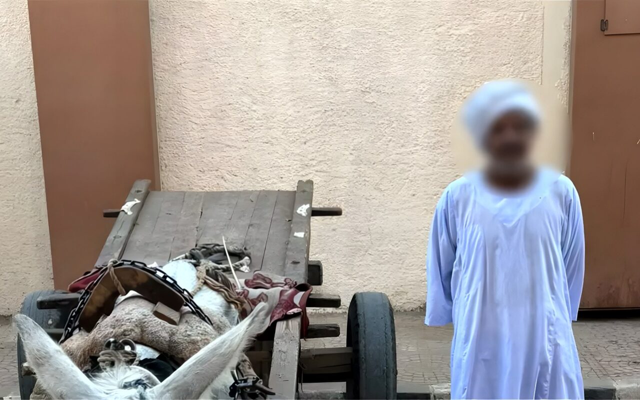 ضبط مزارع بأسوان عبر بـ”كارو” مزلقان السكة الحديد أثناء غلقه وتسبب في توقف القطار