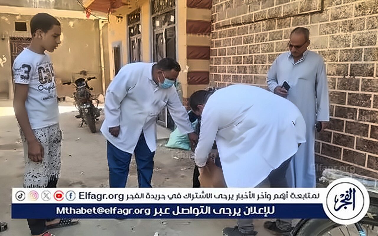 محافظ سوهاج يوجه بالتعامل الفوري مع الكلاب الضالة