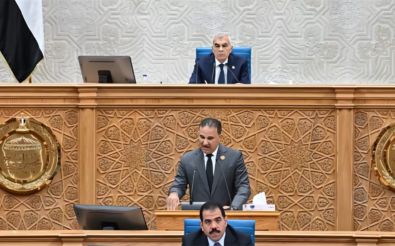 مجلس الشيوخ يحيل 3 طلبات مناقشة بشأن الرقابة على الأسواق للجان النوعية
