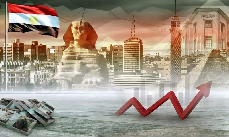 بلال شعيب: قوة الاقتصاد المصري تتيح زيادة الإنفاق على برامج الحماية الاجتماعية والصحة والتعليم