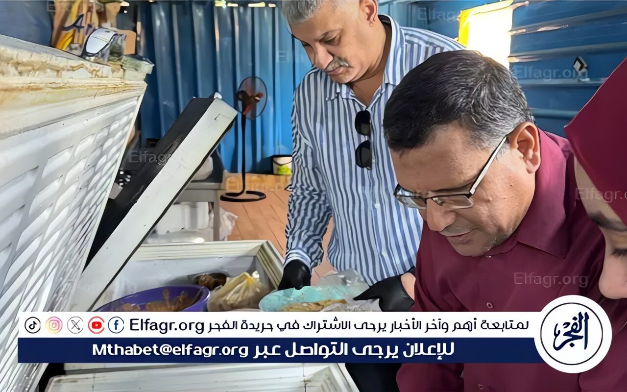 حملات رقابية بقرية تونس بالفيوم تضبط كميات كبيرة من الدجاج منتهي الصلاحية داخل منشأة غير مرخصة