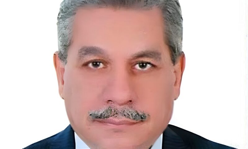 الدكتور أمين لطفي يكتب: التمكين المؤسسي للقطاع الخاص في الجمهورية الجديدة.. الداء والدواء