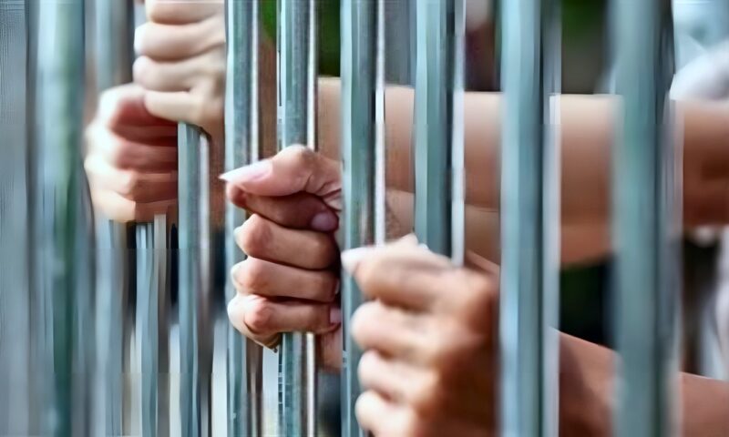 حبس عصابة سرقة الهواتف المحمولة من داخل السيارات بالجيزة