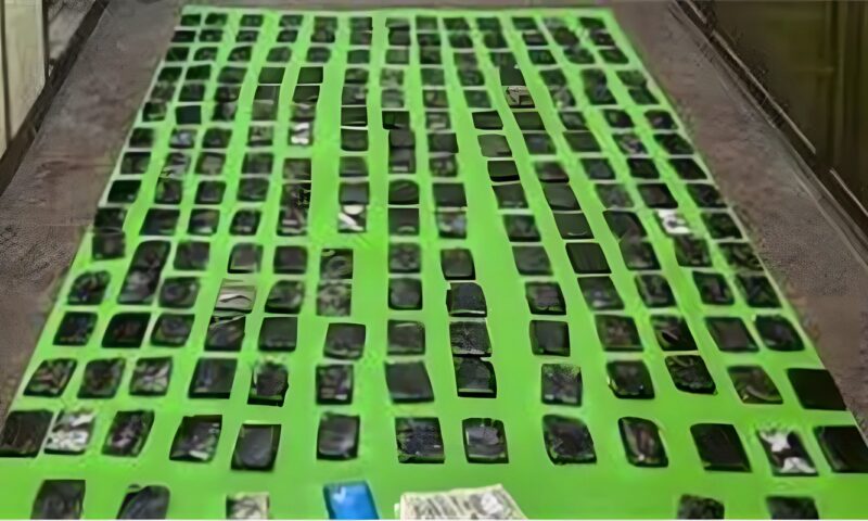 2200 قطعة حشيش و50 جوال هيدرو، سقوط تشكيل عصابي لتجارة المخدرات بين الجيزة والغردقة