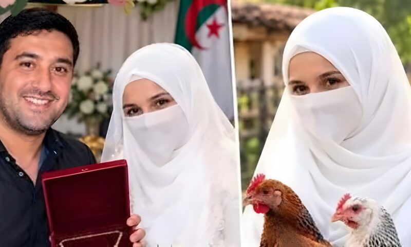 أرادت فرختين فأمطروها بالذهب والمال، عروس الجزائر اليتيمة تتصدر الترند، والنشطاء: ربنا ساق الرزق لها
