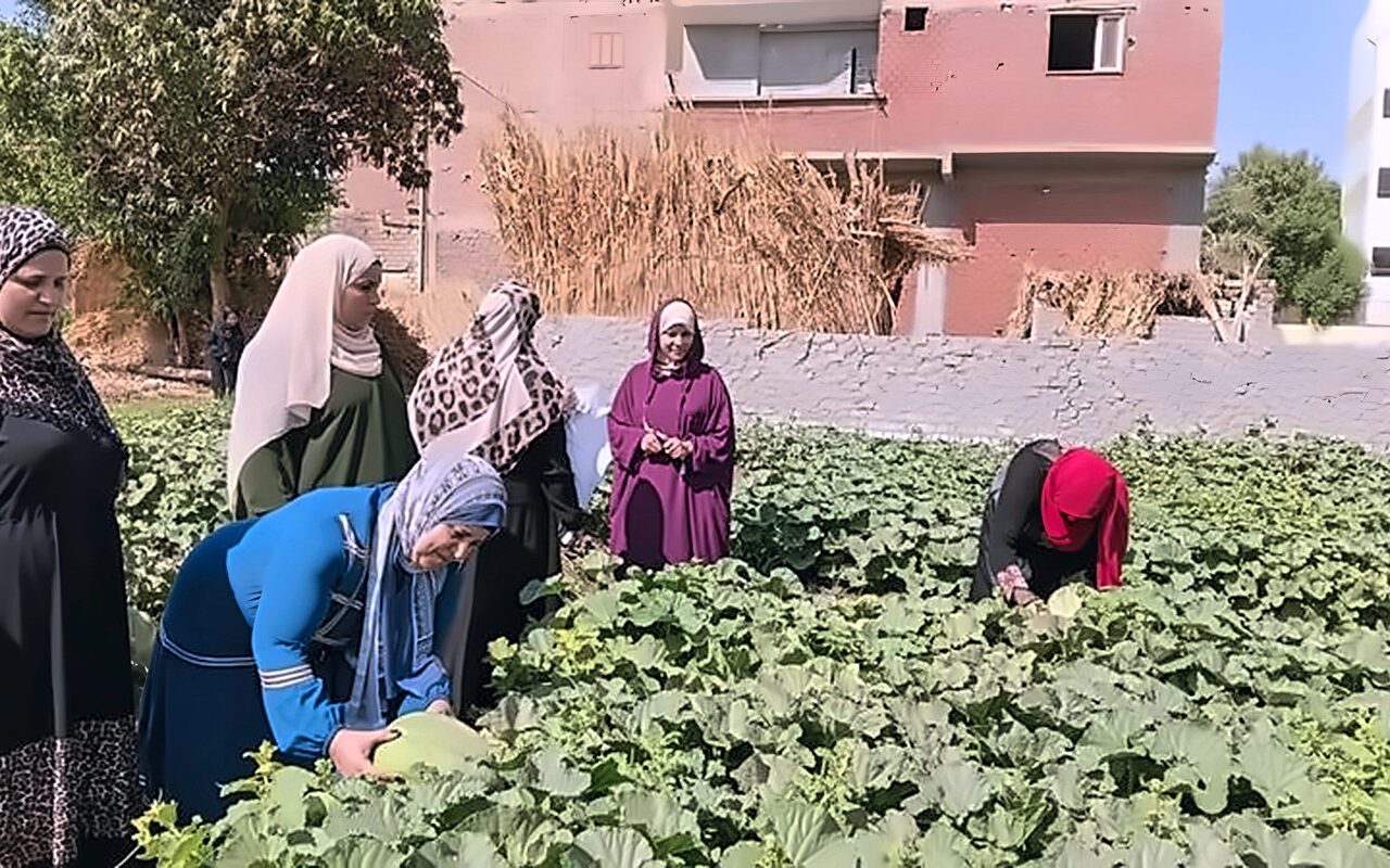 2003 مزارعين يستفيدون من المدارس الحقلية بالصعيد بينهم 612 سيدة