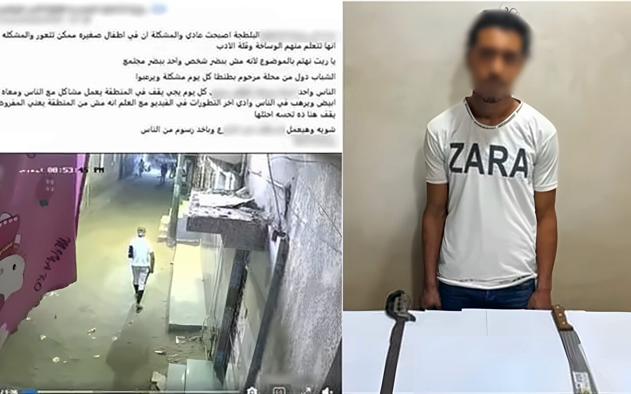 الذكاء الاصطناعي يكشف مفاجأة في واقعة بلطجة بالغربية.. ضبط المتهم وبحوزته أسلحة بيضاء