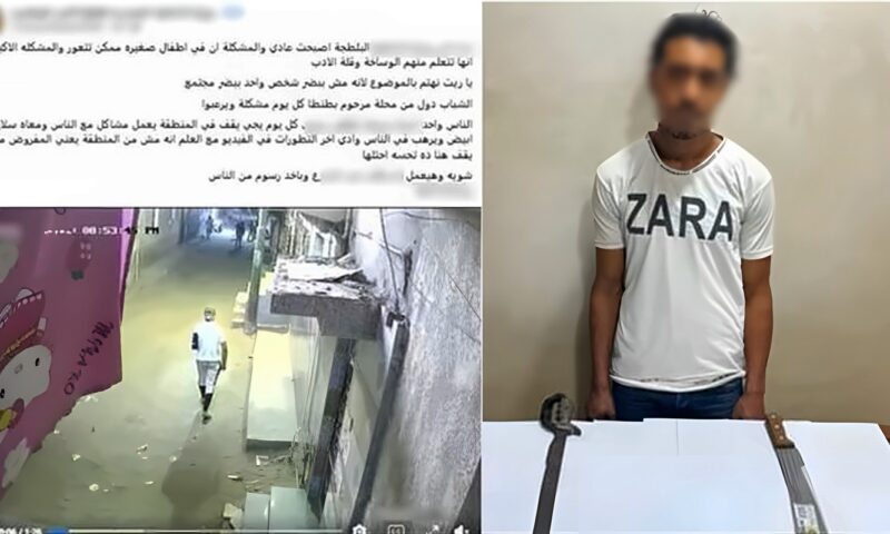 الذكاء الاصطناعي يكشف مفاجأة في واقعة بلطجة بالغربية.. ضبط المتهم وبحوزته أسلحة بيضاء
