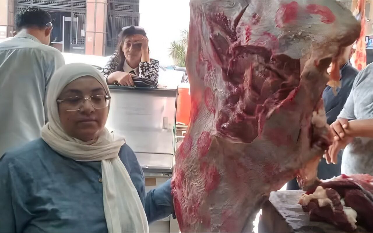 تموين وبيطري المنيا يضبطان 258 كيلو لحوم فاسدة ومذبوحة خارج المجازر