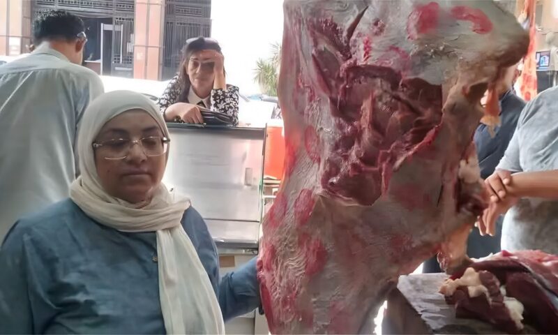 تموين وبيطري المنيا يضبطان 258 كيلو لحوم فاسدة ومذبوحة خارج المجازر