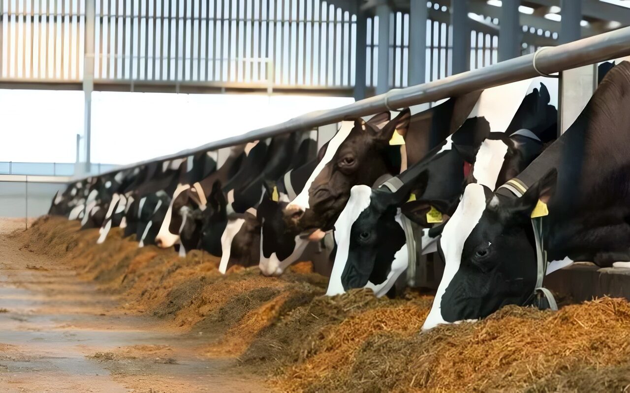 الزراعة: انتاج 3816 طنًا من تدوير المخلفات الحيوانية خلال سبتمبر