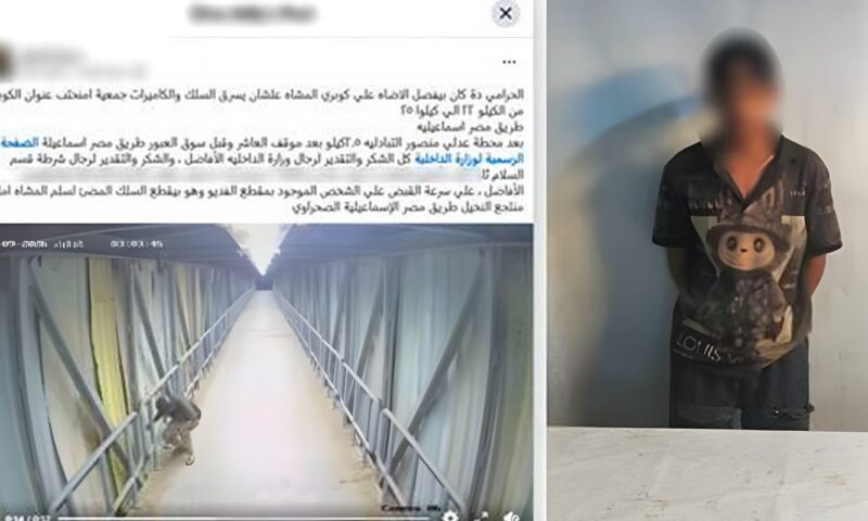 يبيعها لتجار الخردة بمبالغ زهيدة، اعترافات لص أسلاك أعمدة الكهرباء بالسلام