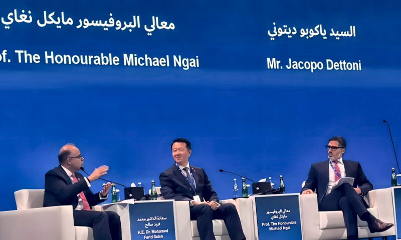 محمد فريد: الاستثمارات الأجنبية تحقق عائدا أكبر عندما تتيح للشركات المحلية الانضمام لسلاسل التوريد العالمية