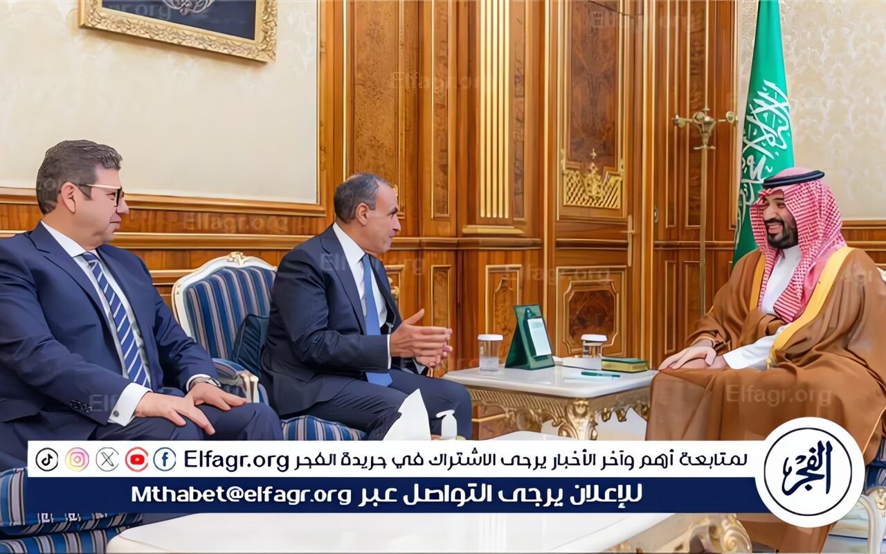 وزير الخارجية ورئيس المخابرات يسلمان رسالة خطية من الرئيس السيسي إلى خادم الحرمين الشريفين