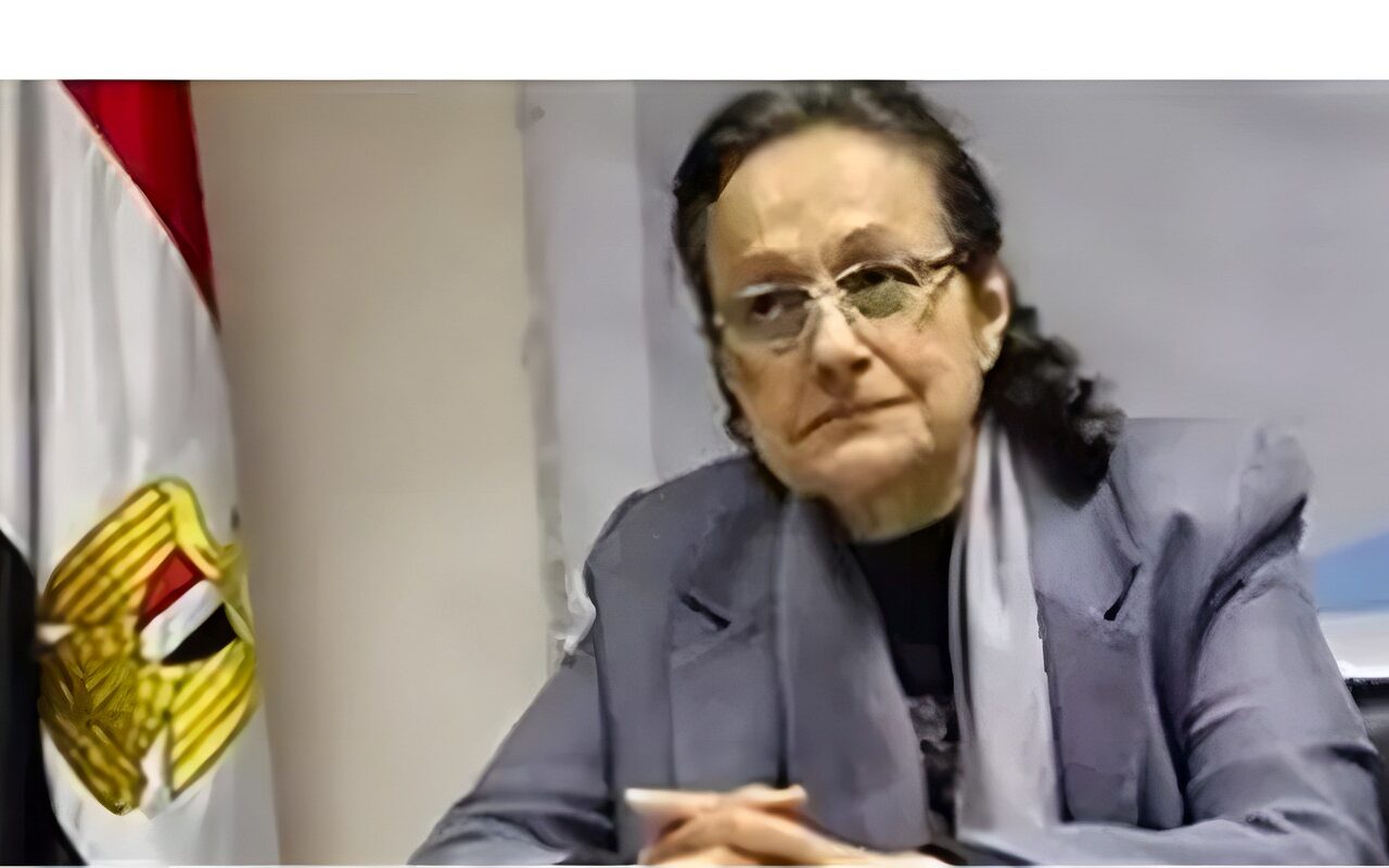 سكينة فؤاد: أعداد الأحزاب السياسية كبيرة وتأثيرها محدود