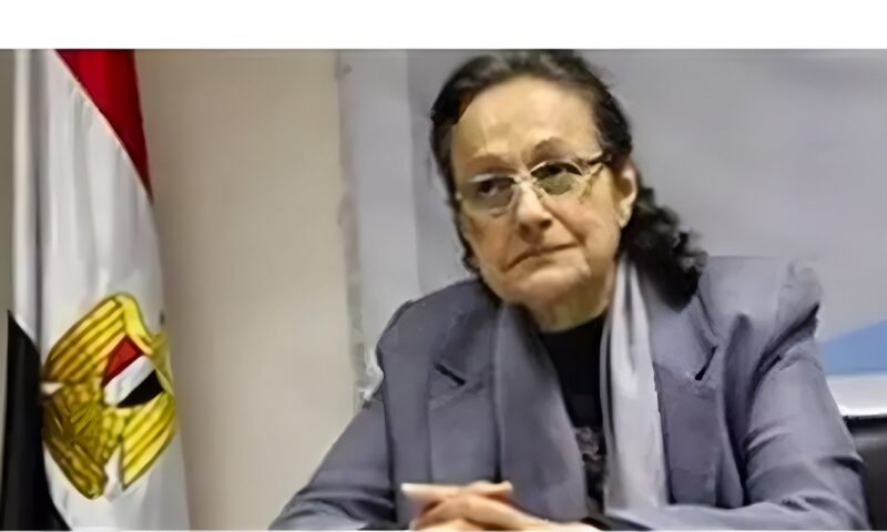 سكينة فؤاد: أعداد الأحزاب السياسية كبيرة وتأثيرها محدود