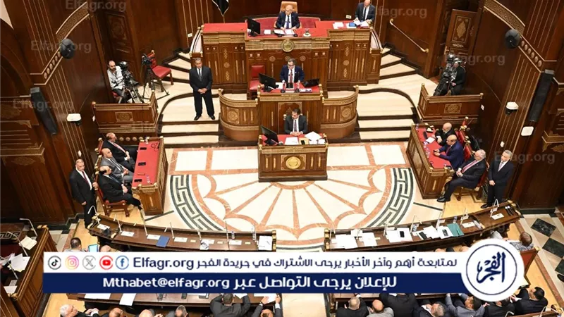 بعد تشكيلها بدور الانعقاد الثاني.. تفاصيل اختصاصات لجنة “الشباب والرياضة” بمجلس الشيوخ