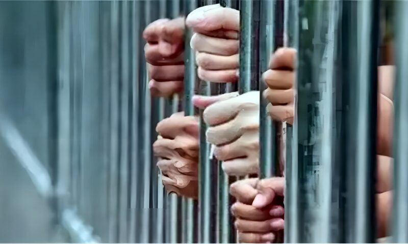 سقوط أخطر عصابة لسرقة الهواتف المحمولة من داخل السيارات في الدقي
