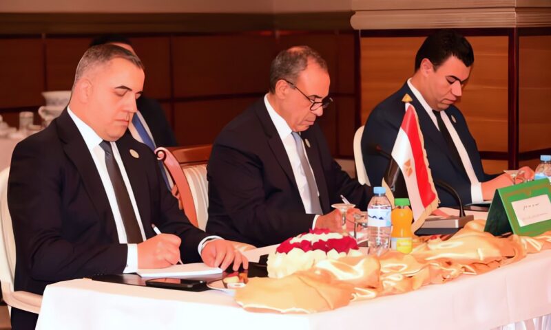 مصر والجزائر وتونس يؤكدون الرفض القاطع للتدخلات الخارجية في ليبيا