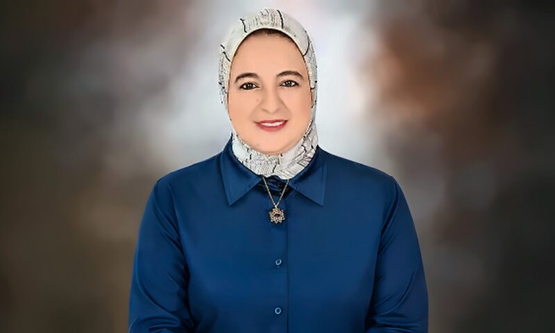 د. هبة محمد عيد تكتب: جيل يحمل ذكرى النصر.. رسالة تقدير لدرع الوطن وسيفه