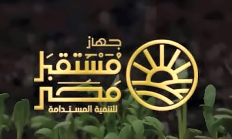 جهاز مستقبل مصر: بدء زراعة محصول البطاطس بأراضي الدلتا الجديدة
