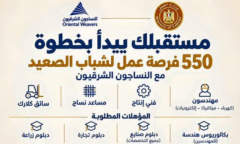 العمل تعلن شروط وتفاصيل 550 فرصة تشغيل بالصعيد