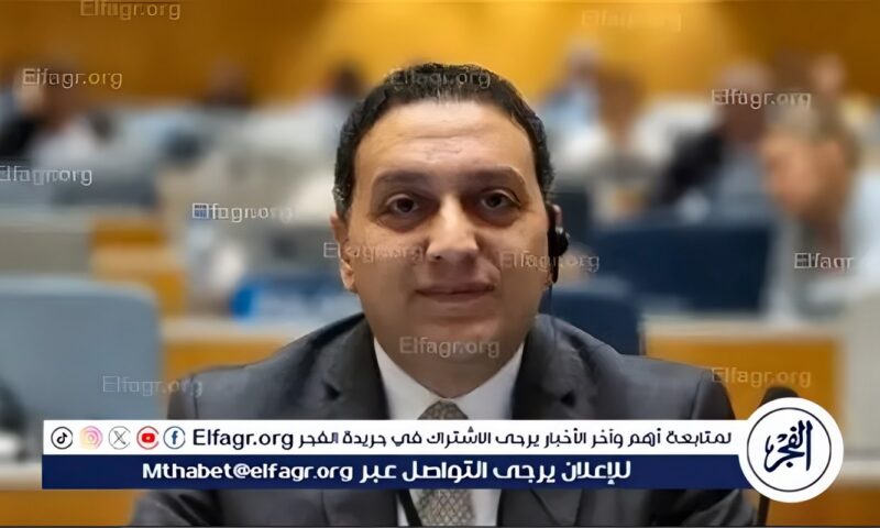متحدث الحكومة يكشف حقيقة رفع أسعار المحروقات أو تخفيف أحمال الكهرباء(فيديو)