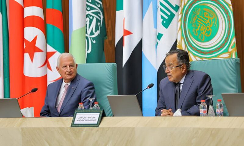 نبيل فهمي: موقف الجامعة العربية ثابت في دعم حقوق الدول المتشاطئة على الأنهار الدولية