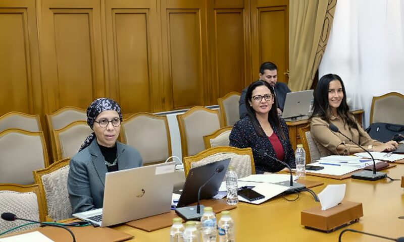 جامعة العربية تعقد اجتماعي لجنتي الطفولة والأسرة العربيتين