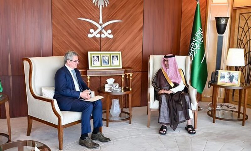السفير السعودي بالقاهرة يلتقي نظيره الروسي الجديد لبحث الموضوعات المشتركة