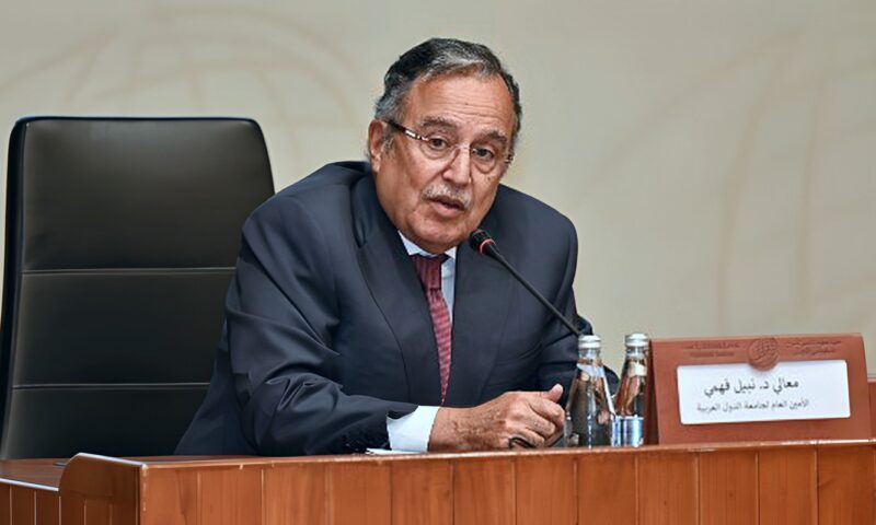 نبيل فهمي: التمسك بالثوابت العربية واحترام سيادة الدول وسلامة أراضيها