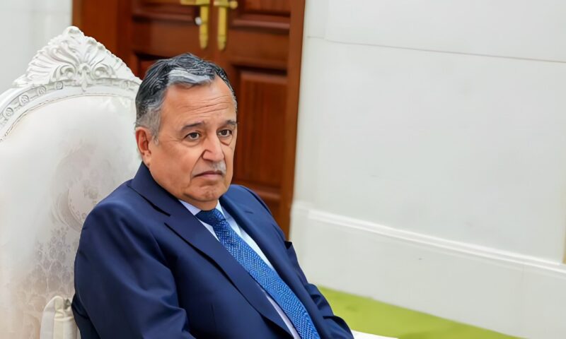 نبيل فهمي يبحث مع لجنة الحوار السوداني سبل إنجاح الحوار الوطني