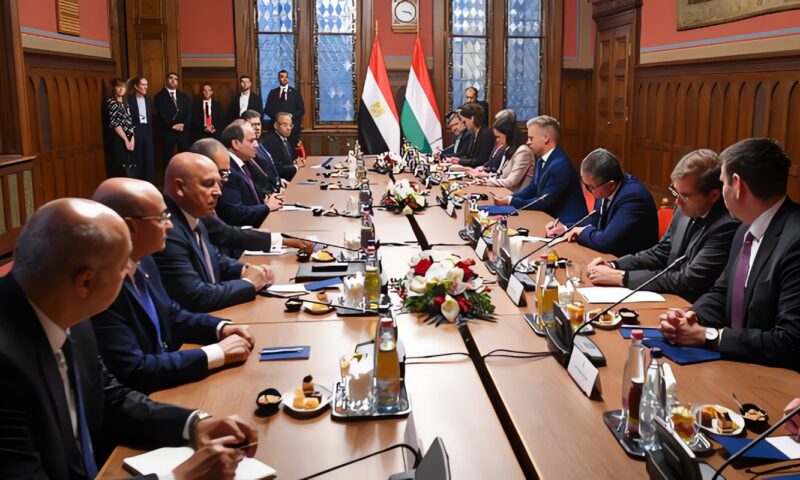 السيسي وماچار يبحثان التعاون في الطاقة والغاز وفرص الاستثمار بمنطقة قناة السويس