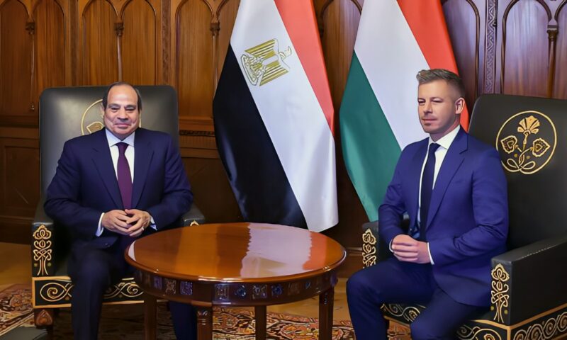 السيسي من بودابست: حل الدولتين السبيل لتحقيق السلام ونرفض تهجير الفلسطينيين