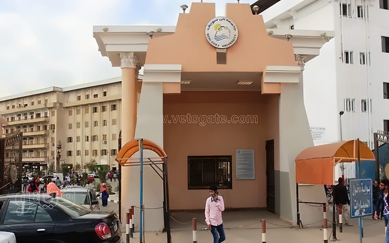 جامعة بني سويف تفتح تحقيقا في واقعة الاعتداء على طالب بكلية التربية