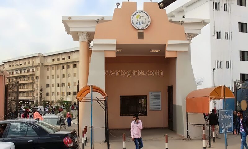 جامعة بني سويف تفتح تحقيقا في واقعة الاعتداء على طالب بكلية التربية