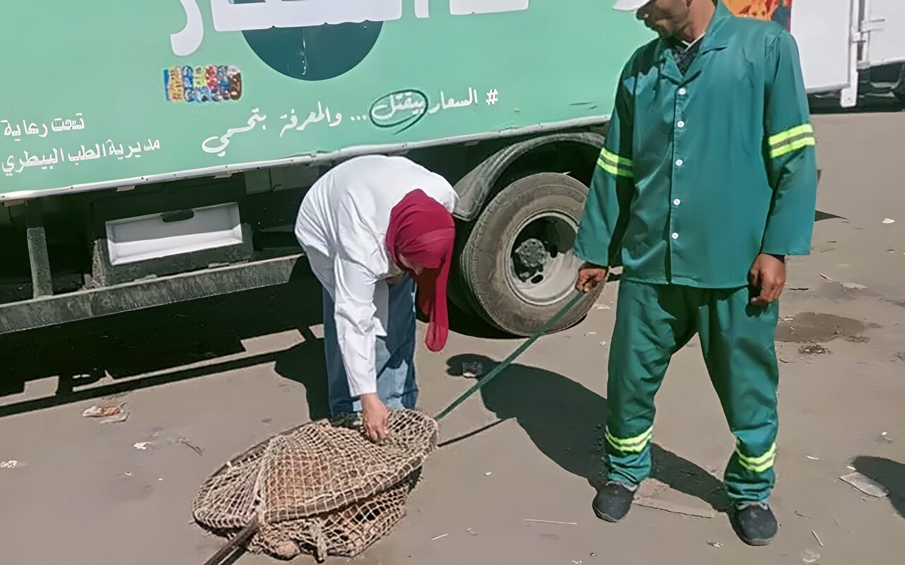 محافظ الدقهلية يتابع حملات مواجهة الكلاب الضالة بمدينة بلقاس