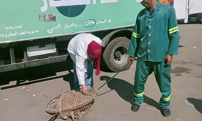 محافظ الدقهلية يتابع حملات مواجهة الكلاب الضالة بمدينة بلقاس
