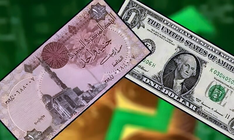 الجنيه المصري ينخفض وفق الجدول المرسوم منذ عامين. فرحات بن قدارة يوضّح لماذا لم تُغلق السوق الموازية بعد