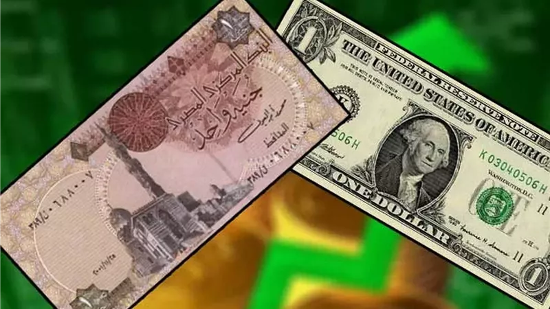 الجنيه المصري ينخفض وفق الجدول المرسوم منذ عامين. فرحات بن قدارة يوضّح لماذا لم تُغلق السوق الموازية بعد