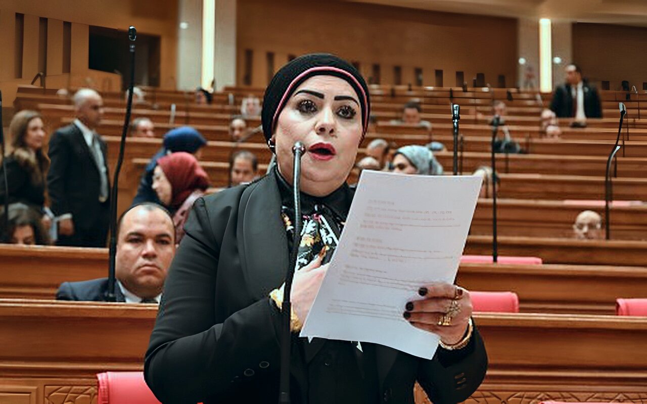 برلمانية: منتدى مصر 2026 فرصة لربط خطط التنمية باحتياجات سوق العمل وتطوير التعليم