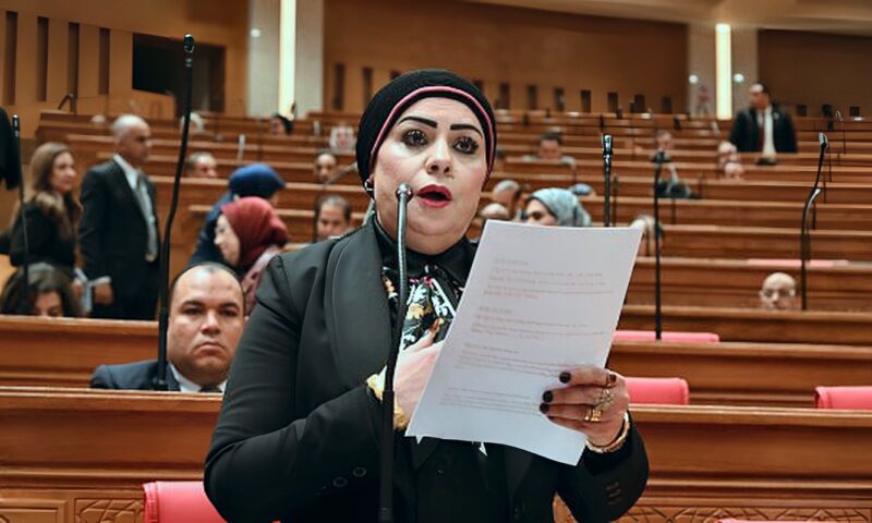 برلمانية: منتدى مصر 2026 فرصة لربط خطط التنمية باحتياجات سوق العمل وتطوير التعليم