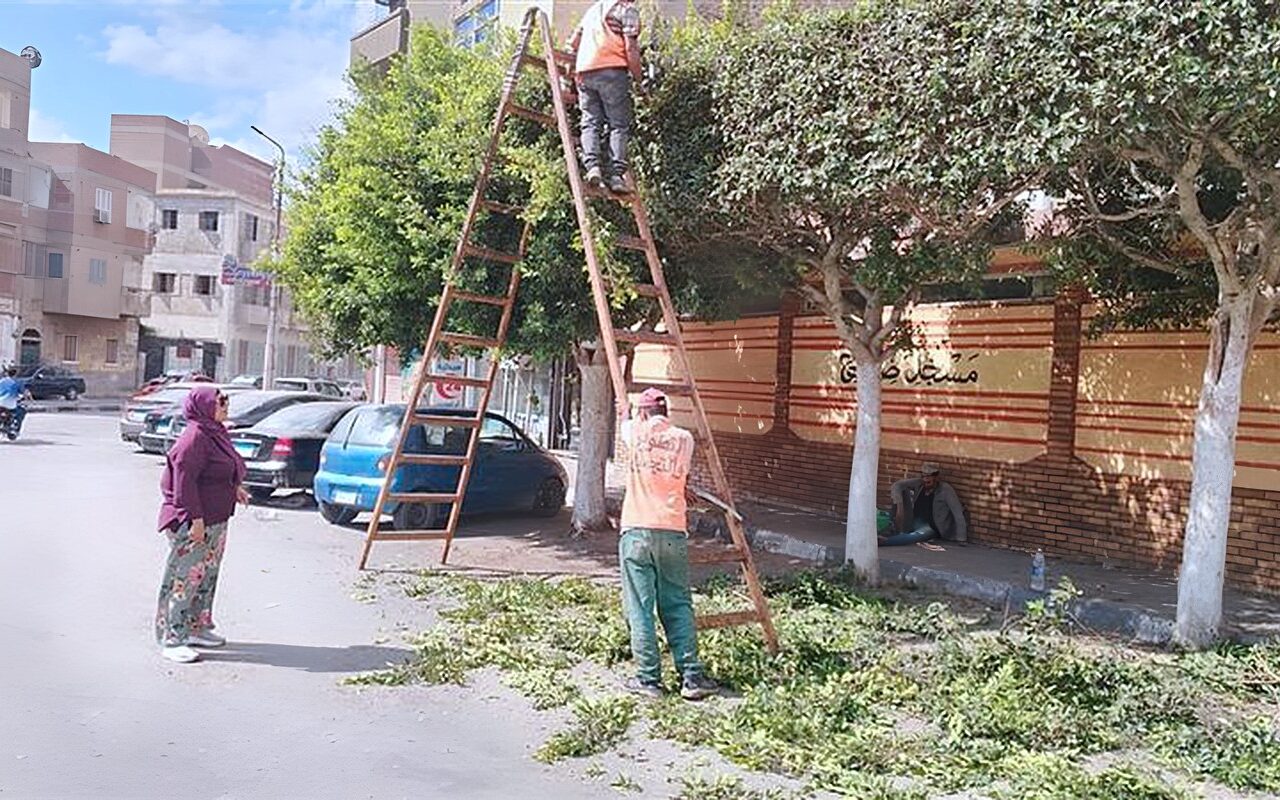 استعدادًا للاحتفال بعيد الإسماعيلية، جهاز التطوير يواصل أعمال رفع الكفاءة بعدد من المواقع