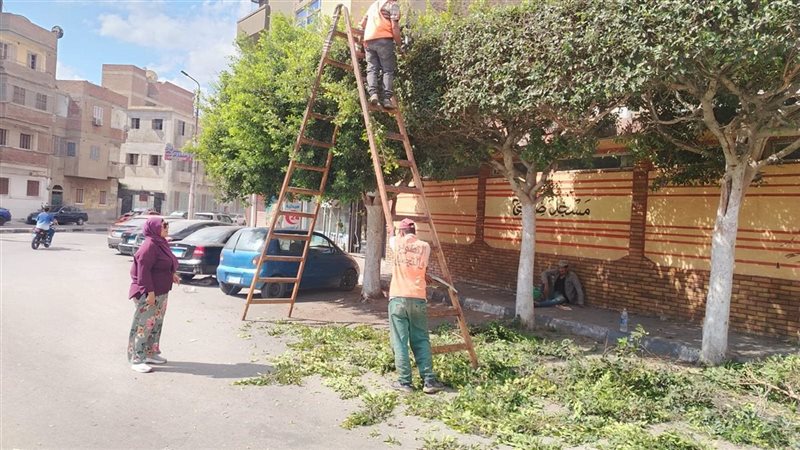 استعدادًا للاحتفال بعيد الإسماعيلية، جهاز التطوير يواصل أعمال رفع الكفاءة بعدد من المواقع