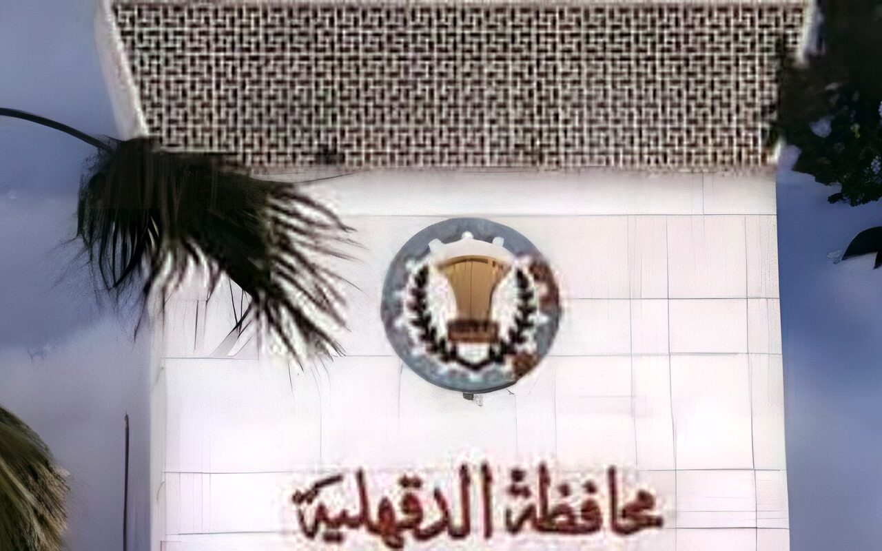 الدقهلية تعدل المخطط التفصيلي لقرية البيضاء بتمي الأمديد لحماية الملكيات الخاصة