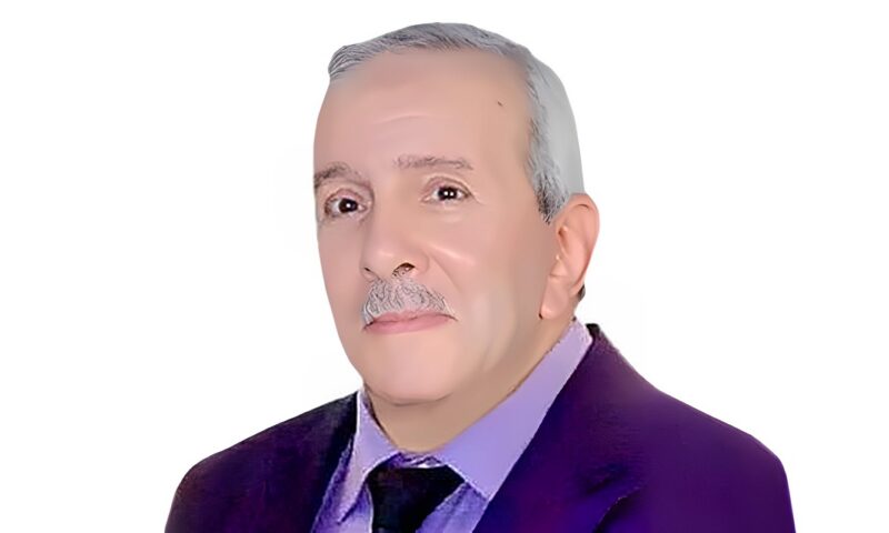 أحمد نجم يكتب: مصر تبني تحالفا تنمويا في شرق آسيا
