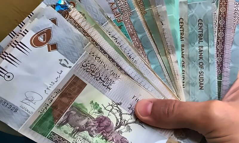 سعر الجنيه السوداني أمام الدولار في بنك الخرطوم المركزي مساء اليوم