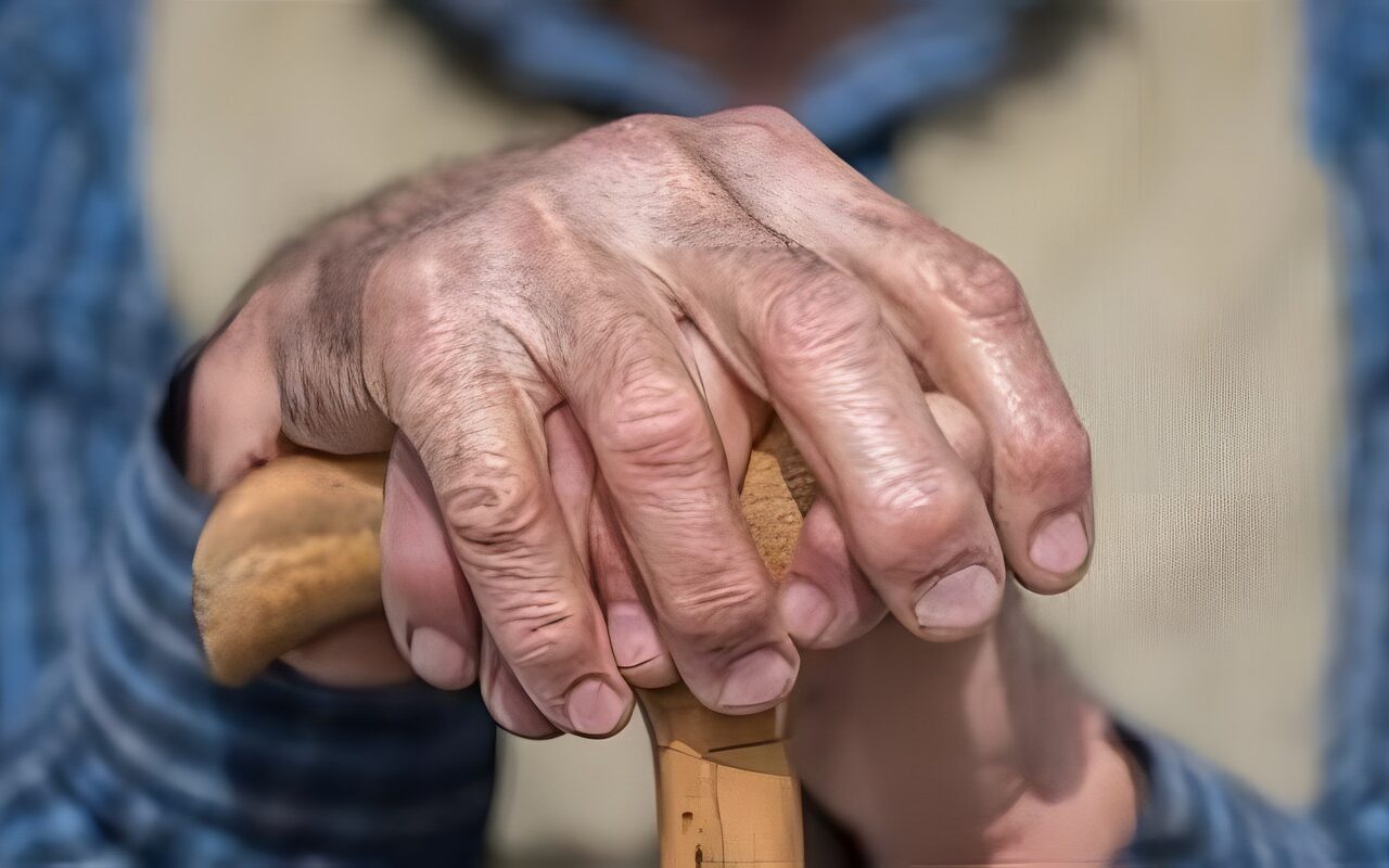 في يومهم العالمي، أهمية الوعي بحقوق المسنين واحتياجاتهم